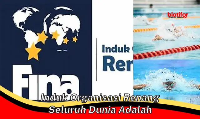 FINA: Induk Organisasi Renang Dunia