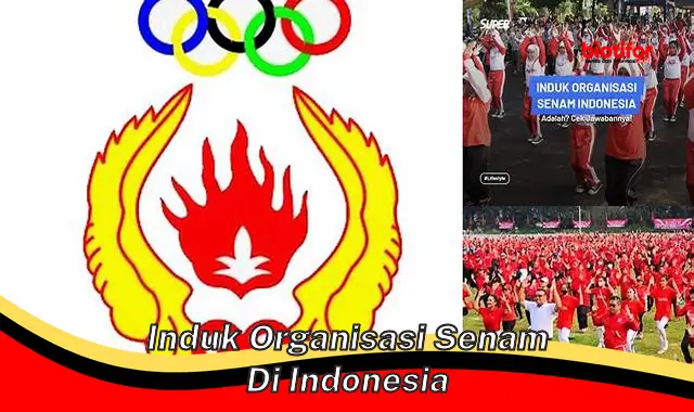 Induk Organisasi Senam Terbaik di Indonesia