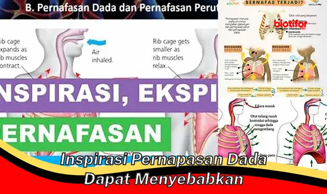 Manfaat Mengagumkan dari Inspirasi Pernapasan Dada untuk Kesehatan