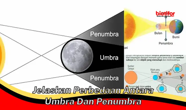 Panduan Membedakan Umbra dan Penumbra: Perbedaan Penting dalam Bayangan