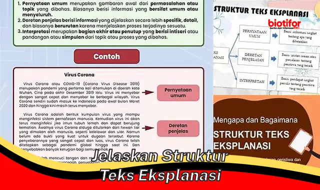 Struktur Teks Eksplanasi Lengkap: Panduan Jitu Menulis Eksplanasi Ilmiah