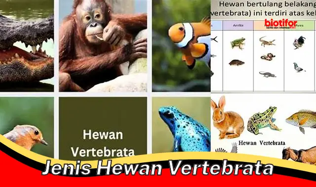 jenis hewan vertebrata