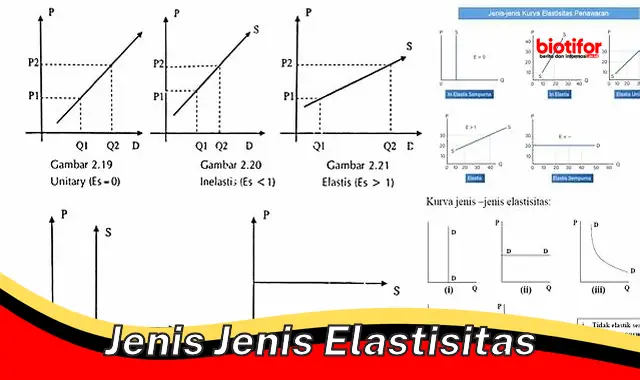 Panduan Lengkap Jenis-Jenis Elastisitas untuk Pengusaha Cerdas