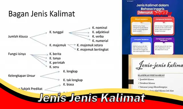 Jenis Kalimat: Panduan Lengkap untuk Komunikasi Efektif