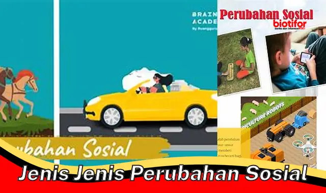 Panduan Lengkap Mengenai Jenis-Jenis Perubahan Sosial