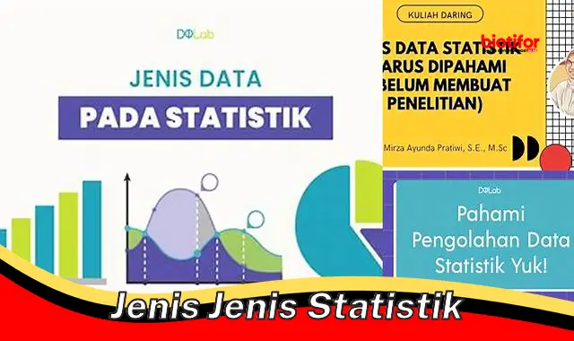 Mengenal Jenis-Jenis Statistik: Panduan Lengkap