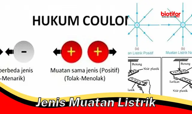 jenis muatan listrik