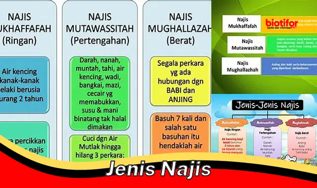 jenis Najis: Pengertian, Macam, dan Cara Mensucikan