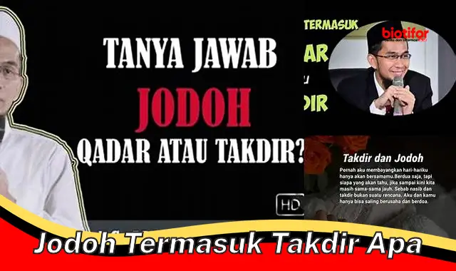 Jodoh, Takdir atau Pilihan? Panduan Lengkap