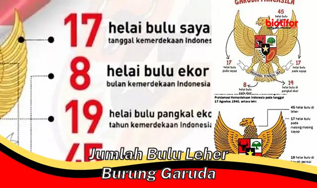 Makna Simbolis Jumlah Bulu Leher Burung Garuda: Identitas dan Perjuangan Bangsa Indonesia