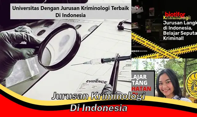 Pahami Jurusan Kriminologi di Indonesia dan Prospek Kerjanya