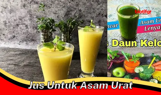 Jus Asam Urat: Minuman Alami untuk Redakan Gejala Asam Urat