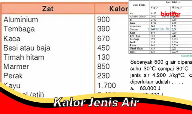 Rahasia Kalor Jenis Air: Pengatur Suhu Hebat