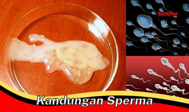 Kandungan Sperma: Kunci Kesuburan Pria