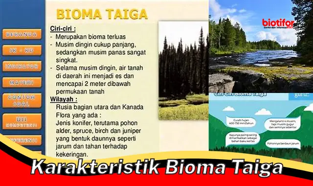 Karakteristik Unik Bioma Taiga: Hutan Konifer yang Dingin dan Beragam