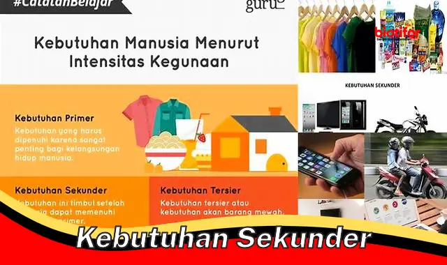 Memenuhi Kebutuhan Sekunder untuk Hidup yang Lebih Baik