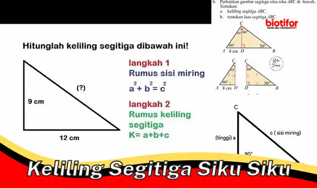 Panduan Lengkap Keliling Segitiga Siku-Siku: Rumus dan Trik Praktis