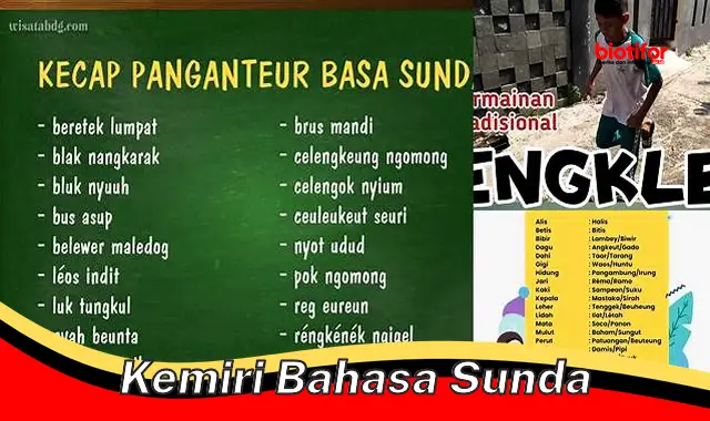 Rahasia Kemiri Bahasa Sunda: Manfaat dan Cara Mengoptimalkan Pemanfaatannya