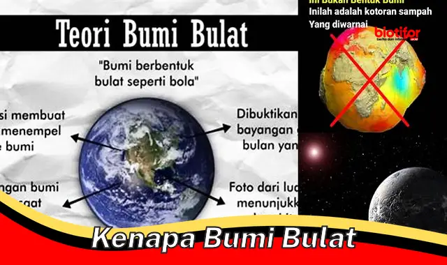 Mengapa Bumi Bulat: Jawaban yang Menakjubkan