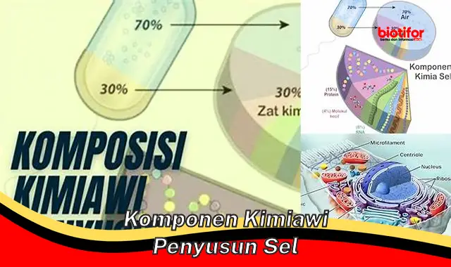 Memahami Komponen Kimia Penyusun Sel untuk Kehidupan yang Lebih Baik