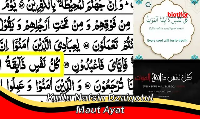 Rahasia Kematian dalam Ayat "Kullu Nafsin Dzaiqotul Maut"