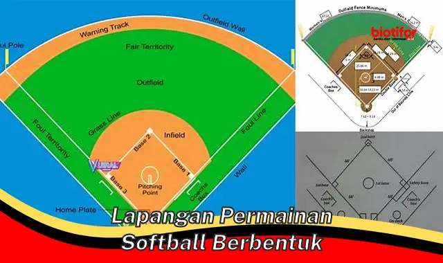 Lapangan Softball Berbentuk: Panduan Lengkap