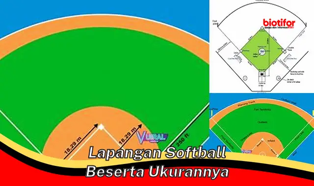 Ukuran dan Bentuk Lapangan Softball: Panduan Lengkap