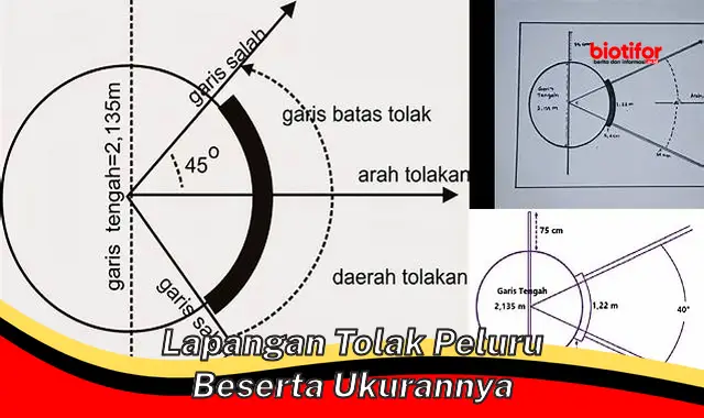 Ukuran dan Spesifikasi Lapangan Tolak Peluru: Panduan Lengkap