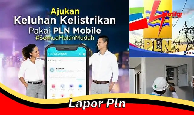 lapor pln