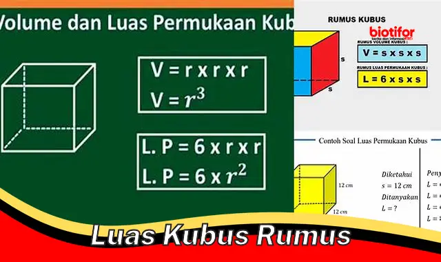 Panduan Lengkap Rumus Luas Permukaan Kubus - Biotifor