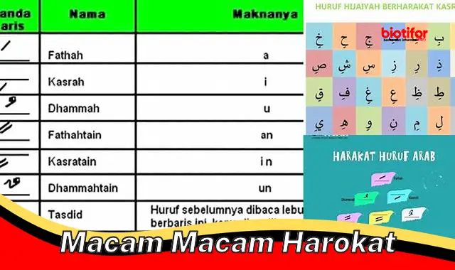 macam macam harokat