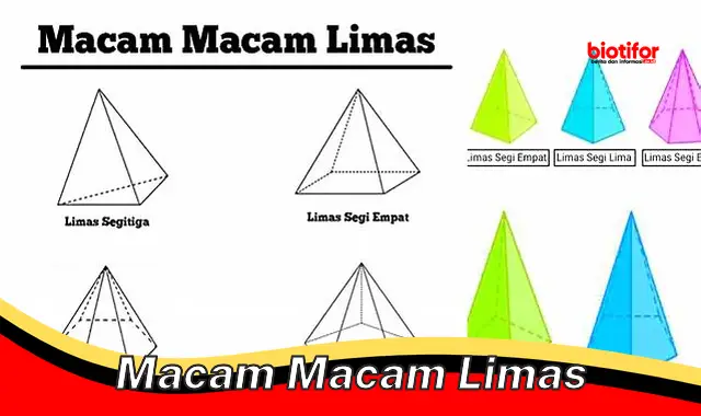 Jenis-jenis Limas: Panduan Lengkap Mengenal Bangun Ruang Penting