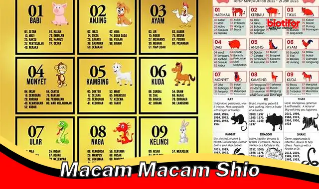 Panduan Lengkap Macam-Macam Shio: Karakteristik dan Pengaruhnya