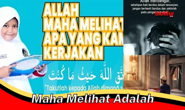 Ketahui Seluk Beluk Maha Melihat