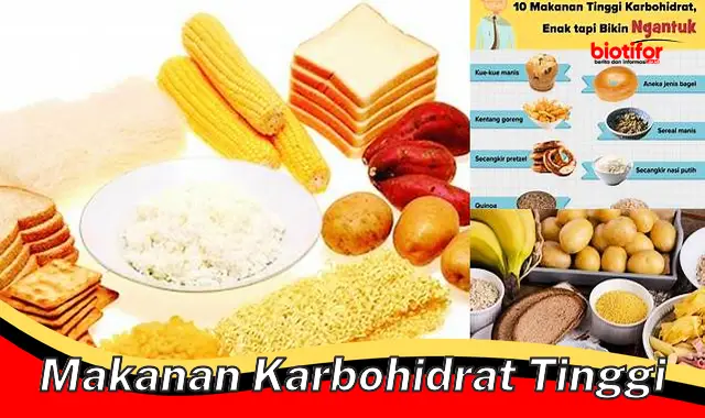 Makanan Karbohidrat Tinggi: Penting untuk Kesehatan dan Kinerja