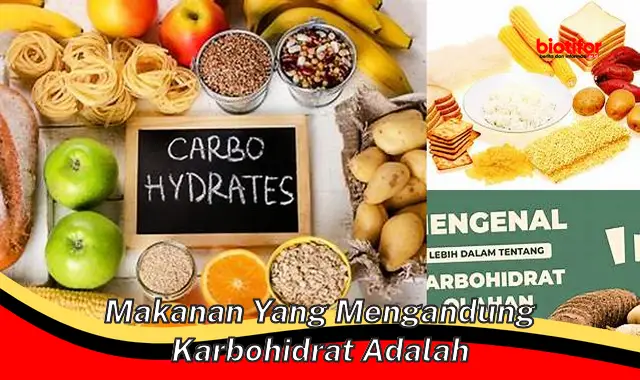 Pentingnya Makanan yang Mengandung Karbohidrat untuk Kesehatan Kita