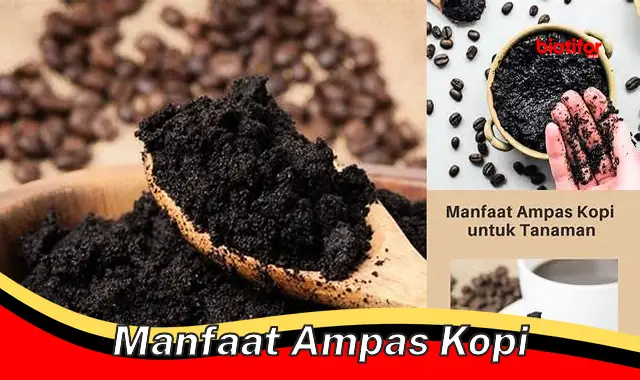 Manfaatkan Ampas Kopi: Dari Kecantikan hingga Kesehatan