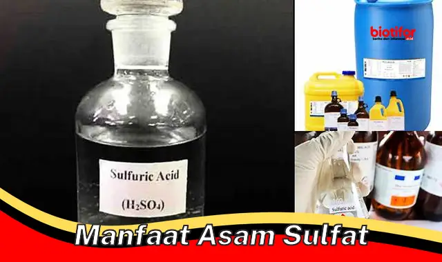 Manfaat Asam Sulfat: Andalan Industri, Berkah untuk Kehidupan