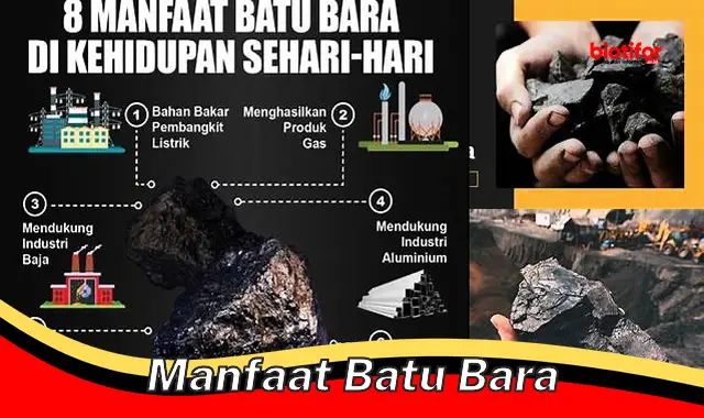 Manfaat Batu Bara: Energi dan Bahan Baku yang Andal