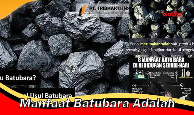 Manfaat Batubara: Sumber Energi Andal dan Serbaguna