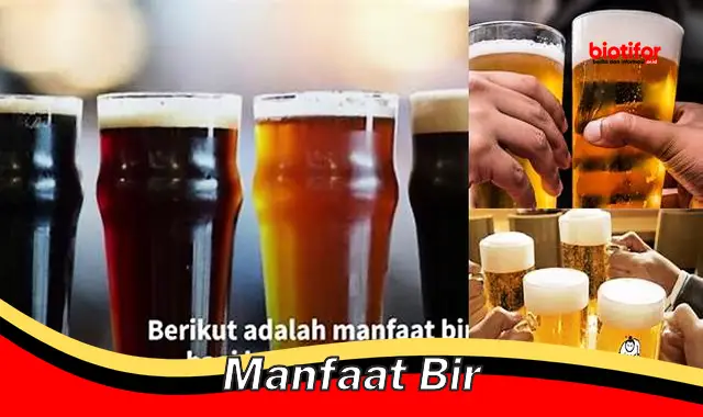 Rahasia Manfaat Bir: Panduan Lengkap untuk Kesehatan Optimal