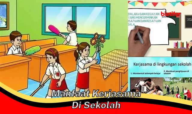 Rahasia Besar: Wajib Tau Manfaat Kerjasama di Sekolah