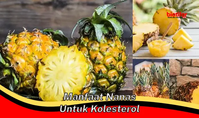 Manfaat Nanas Untuk Menurunkan Kolesterol Rasakan Khasiatnya Biotifor