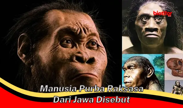 Temukan Misteri Manusia Purba Raksasa dari Jawa: Pithecanthropus Erectus