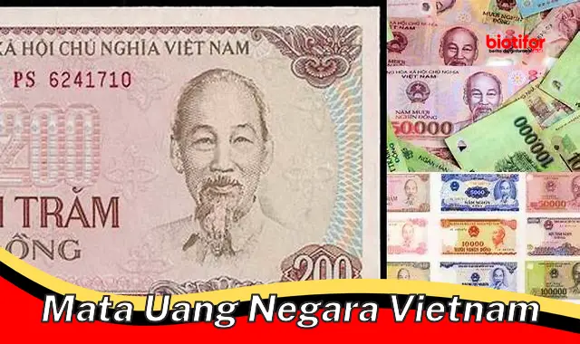 Kupas Mata Uang Negara Vietnam: Sejarah, Peran, dan Tips Penting - Biotifor