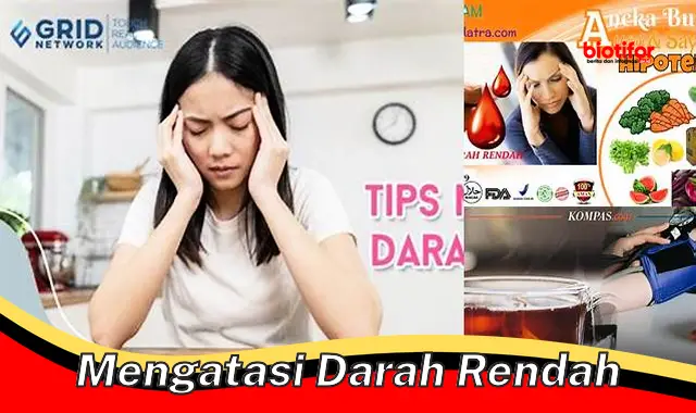 Panduan Lengkap Mengatasi Darah Rendah: Penyebab, Gejala, dan ...