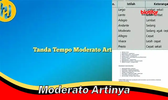 Panduan Lengkap: Pengertian dan Penggunaan Tempo Moderato dalam Musik