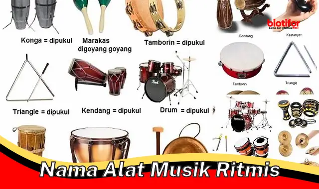 Beragam Jenis dan Fungsi Alat Musik Ritmis: Panduan Lengkap