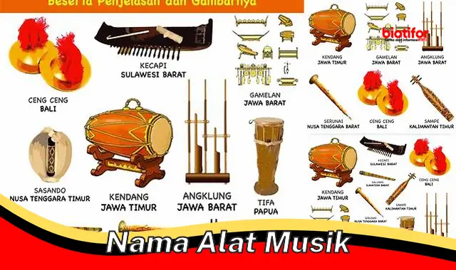 Kenali Nama-Nama Alat Musik dan Perannya yang Penting dalam Bermusik