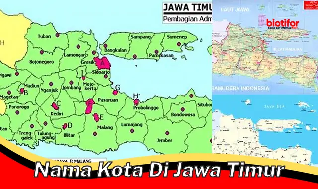 Daftar Lengkap Nama Kota di Jawa Timur, Panduan Pariwisata dan Bisnis